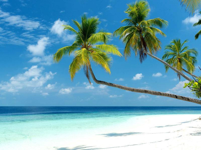 Mercure Maldives Kooddoo Adults-Only Resort - 35 Percent Off Return Domestic Transfers For Two Adults Until September Viligili Exteriér fotografie